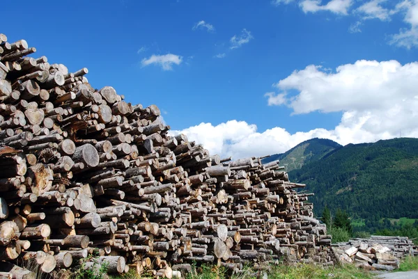 stock image Woodpile