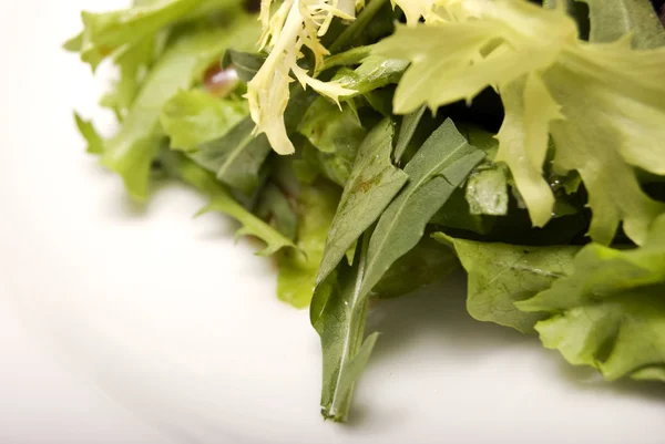 Salata yaprakları — Stok fotoğraf
