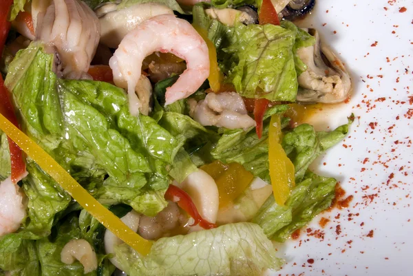 Deniz ürünlerinden yapılmış salata. — Stok fotoğraf
