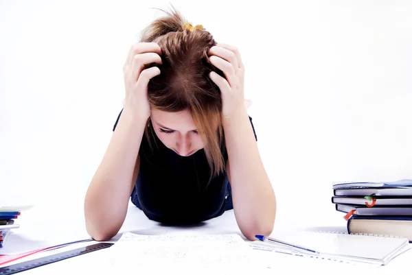 Young Female Student Studying Diligently — Stock Photo, Image