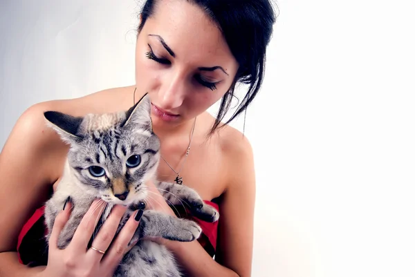 猫の世話をして若い美しいブルネット — ストック写真
