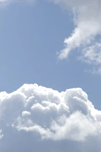 Blue Sky White Cumuli — Stock Photo, Image