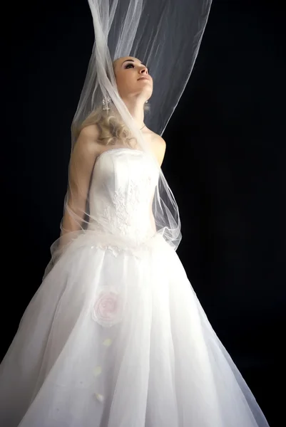 Jovem Noiva Bonita Vestido Noiva Sobre Preto — Fotografia de Stock