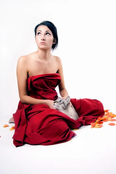 Pretty woman with cat — Stock Photo, Image