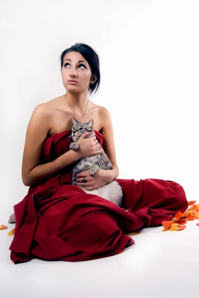 猫ときれいな女性 — ストック写真