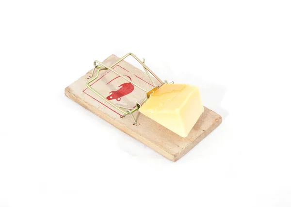 Mousetrap met kaas — Stockfoto