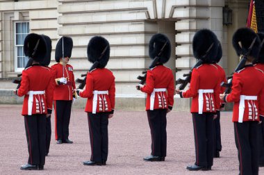 Royal Palace Guard Changing clipart
