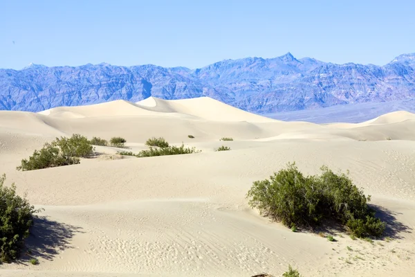 Песчаные дюны с голубым небом — стоковое фото