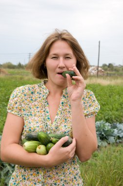 Tasty harvest clipart