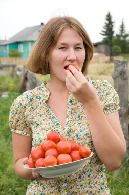 Harvest clipart