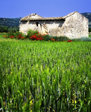 Paysage du Lubéron