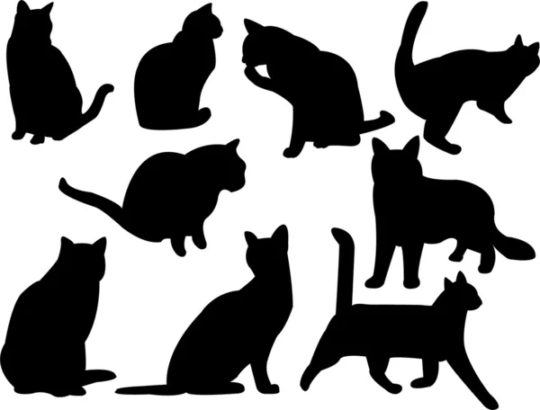 Кошки — стоковый вектор
