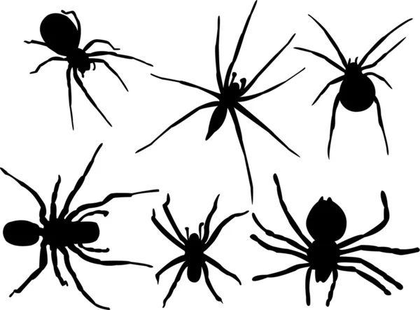 Spiders — Stock Vector