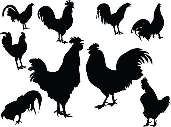 Roosters — Stock Vector