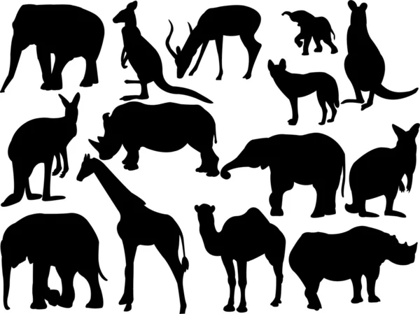 野生动物 — 图库矢量图片