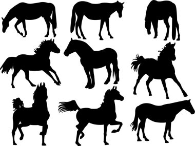 Horses clipart