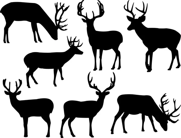 Deers — Stock Vector
