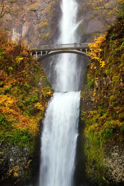 Waterfall - multnomah falls in Oregon — Stock Photo, Image