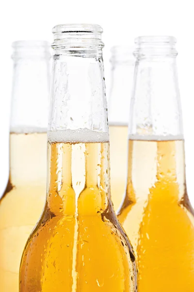 Botellas de cerveza aisladas — Foto de Stock