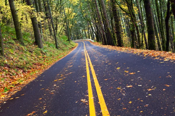 Podzim lesní horské cestě — Stock fotografie