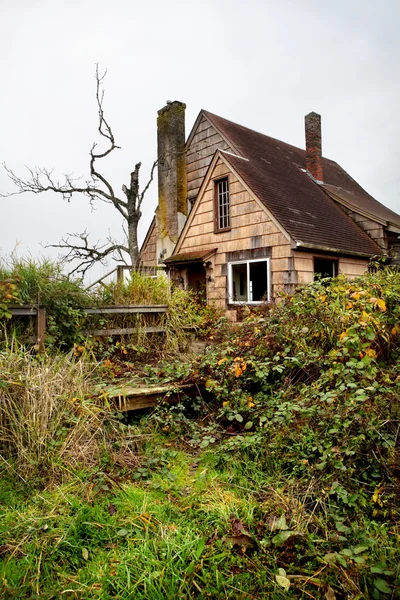 Casa abandonada y arrasada —  Fotos de Stock