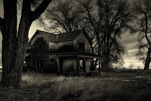 Haunted house monochrome — Stock Photo, Image