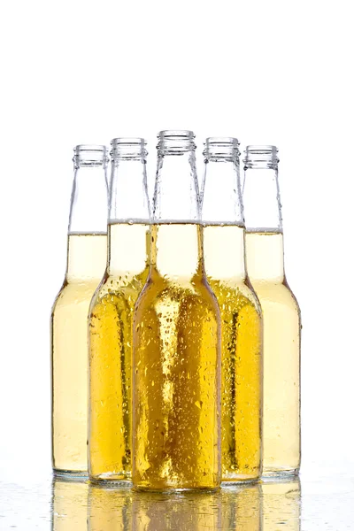 Pivní lahve na bílém pozadí — Stock fotografie