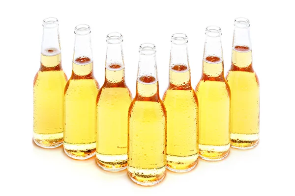 Bira şişeleri grup izole — Stok fotoğraf