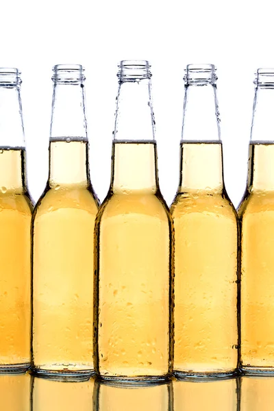 Bierflaschen in Nahaufnahme — Stockfoto