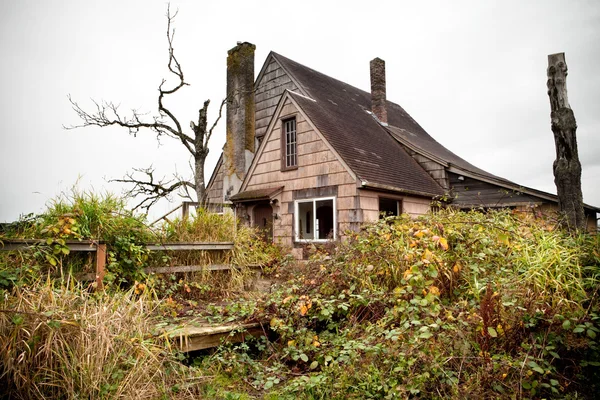 Maison abandonnée et envahie — Photo
