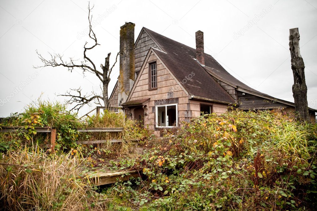 Abandoned overgrown house