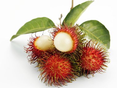 Rambutan