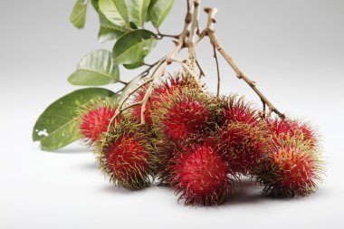 Rambutan