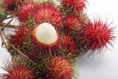 Rambutan