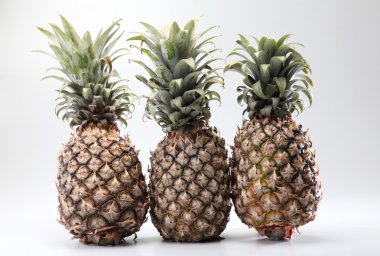 Ananas.