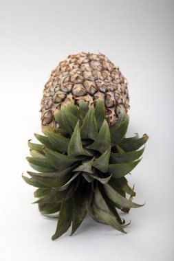 Ananas.