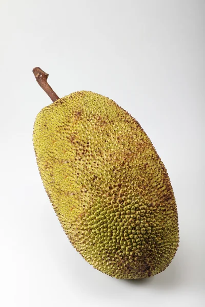 stock image Jackfruit