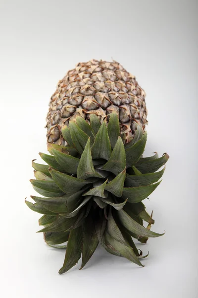 stock image Pineapple