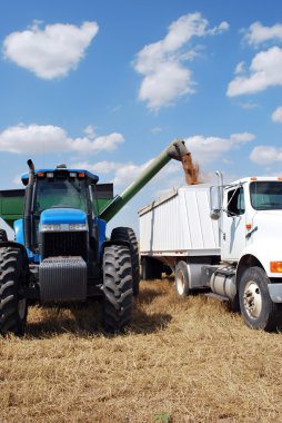 Auger Attached to Blue Tractor Unloads Kansas Wheat clipart