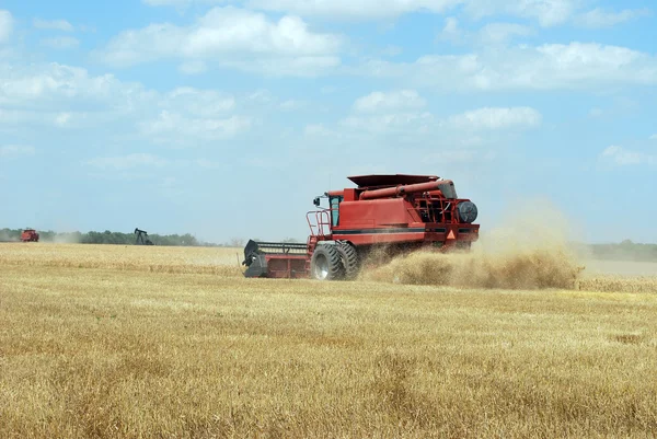 Two Red Combines Cuts Wheat — Stock Photo, Image