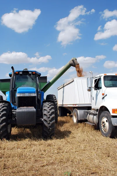 Auger Attached to Blue Tractor Unloads Kansas Wheat — Stock Photo, Image