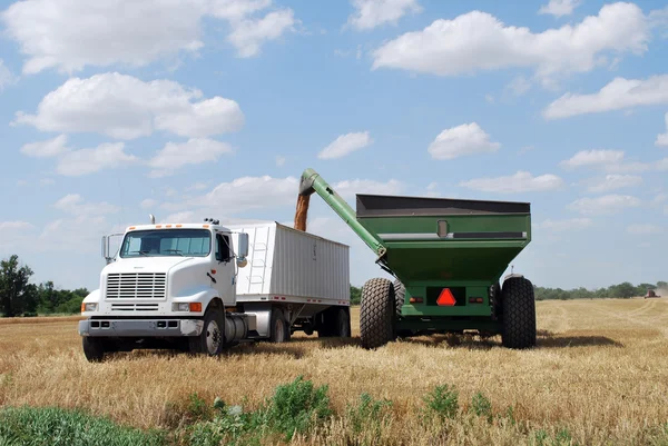 Green Grain Cart Unloads Kansas Wheat — Stock Photo, Image