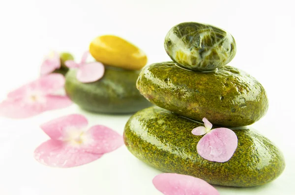 Zen stones and pink flower — Stock Photo, Image
