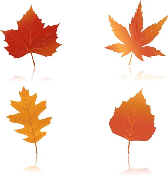 充滿活力彩色秋天的树叶 — 图库矢量图片