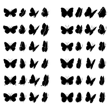 Butterfly collection clipart