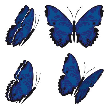 Butterfly clipart