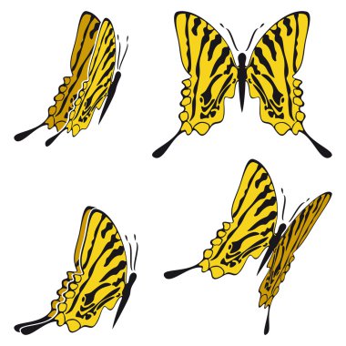 Butterfly clipart