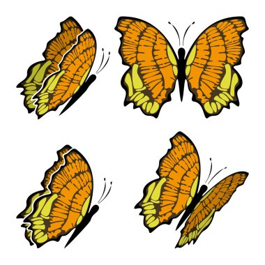 Butterfly clipart