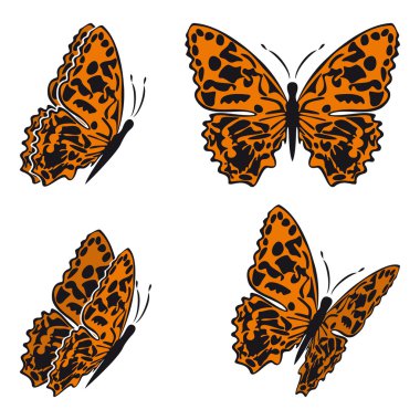 Butterfly clipart