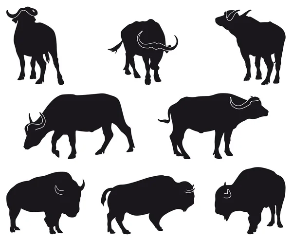 Bison and Buffalo — Stock Vector